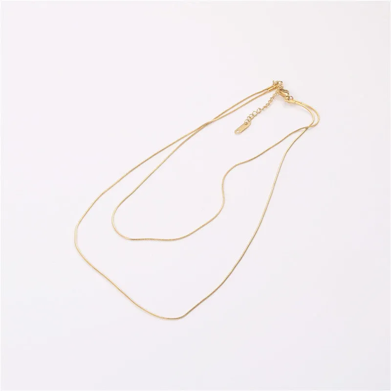 Double Layered Necklace