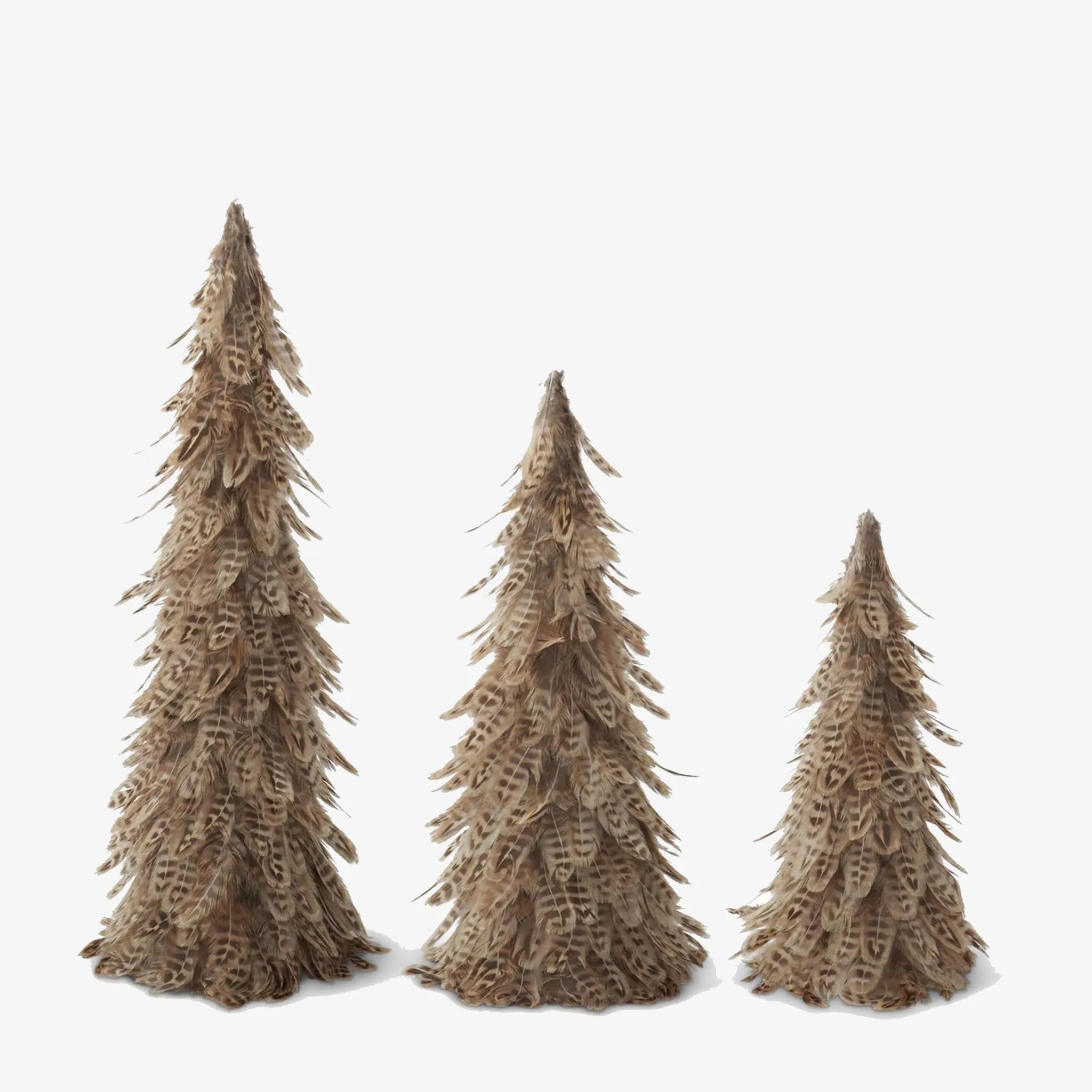Feather Trees